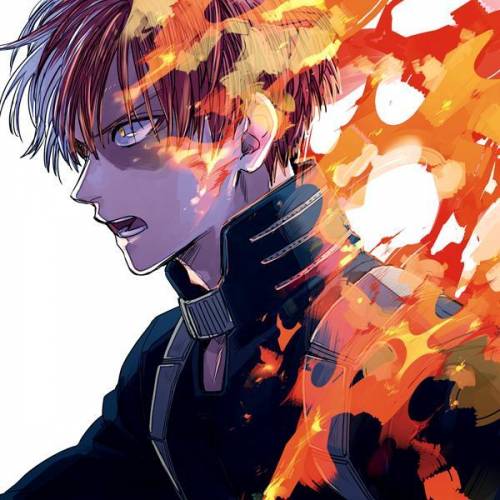 These are my other todoroki fanarts