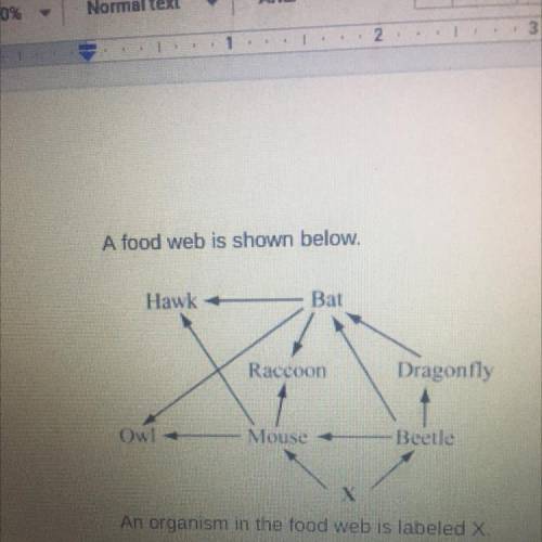 A food web is shown below.

Hawk +
Bat
Raccoon
Dragonfly
Owl
Mouse
Beetle
An organism in the food