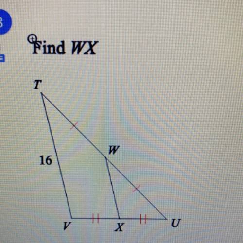 What is the lebgth from w to x if t to v is 16
