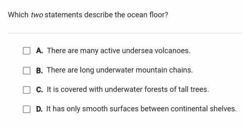 Which TWO statements describe the ocean floor giving brainliest pls help explain ur answer