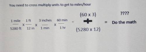 Please help me I don't understand the equation