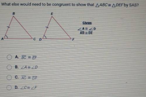 What else would need to be congruent to show that A ABC= A DEF by SAS?

A. BC ~= EFB. Angle A ~= A