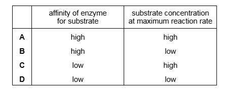 Which row is correct for an enzyme with a low Michaelis-Menten constant?
