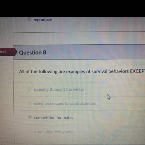 Some help please I got this question incorrect and I only have one more attempt left!! I’ll mark yo