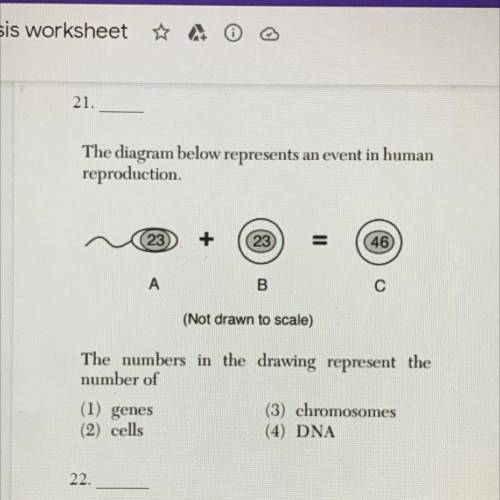 Answer 21 please thanks