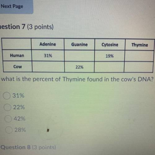 What is the percent of Thymine found in the cow's DNA?

A.) 31%
B.) 22%
C.) 42%
D.) 28%