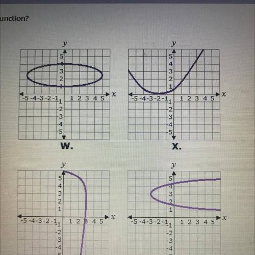 Which of the graphs represents a function? A. W B.X C.Y D.Z