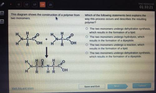 This diagram shows the construction of a polymer from

two monomers.
Which of the following statem