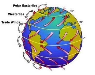 What is shown in this diagram? *

Local Winds
Coriolis Effect
Global Wind System
Types of Breezes