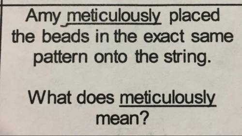 What does meticulously mean? I need help ASAP pls