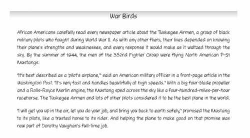 How does the section entitled War Birds contribute to the development of ideas in the text?