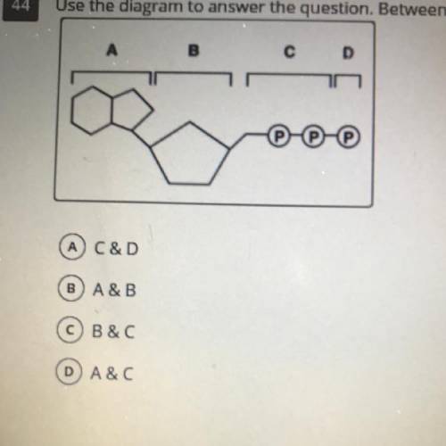 Use the diagram to answer the question. Between which parts of the molecule must the bonds be broke