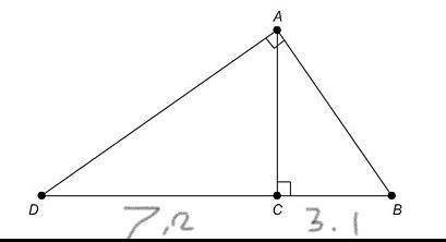 In △ABD, altitude AC¯¯¯¯¯ intersects the right angle of triangle ABD at vertex A. BC=3.1 in. and CD