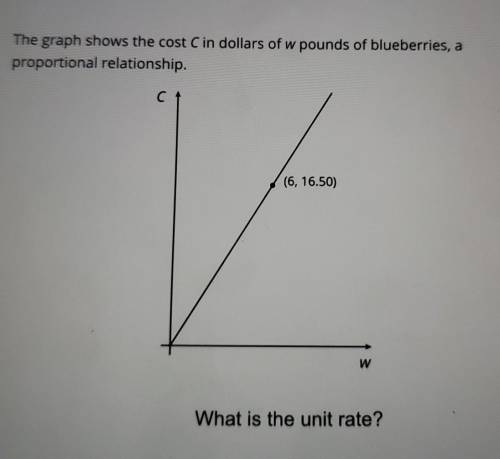 What is the unit rate?
