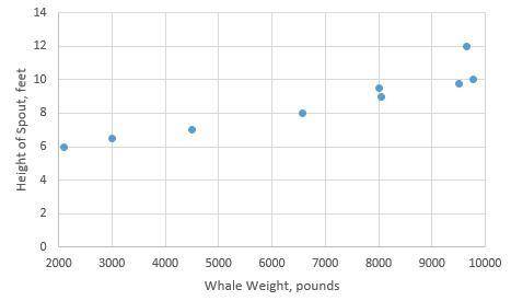 Data were gathered on how high whales blow water based on body weight and graphed on a scatterplot.