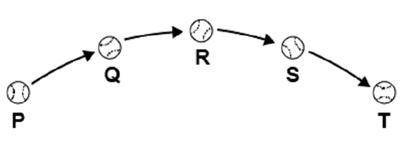 This diagram shows a baseball’s motion.

A baseball is shown at 5 positions along an arc from left
