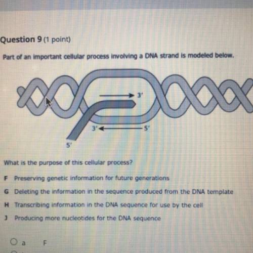What is the purpose of the cellular process