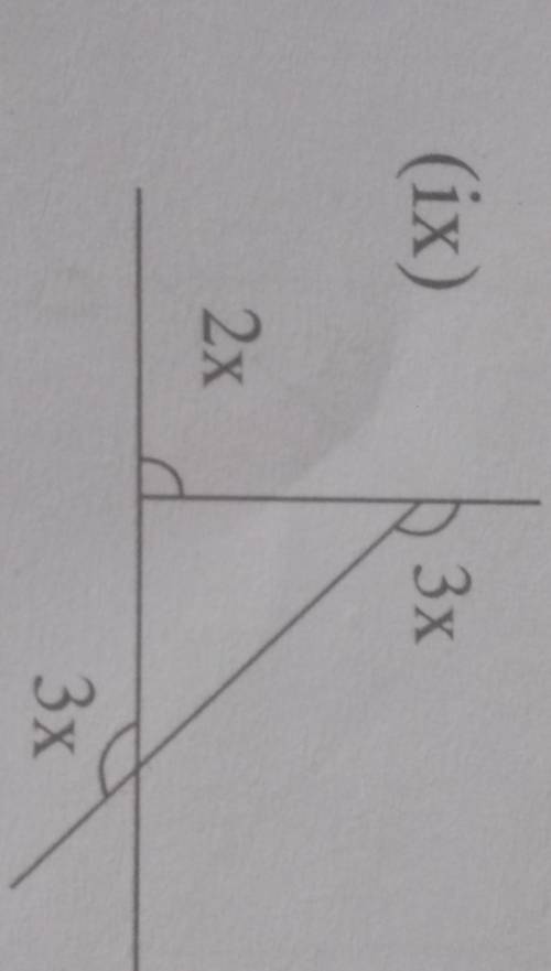 Find the value of x pls