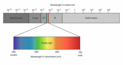 According to the picture of the Electromagnetic spectrum [EMS] below, What color has a wavelength o