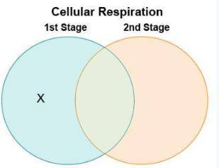Laaj made a Venn diagram to compare and contrast the two stages of cellular respiration.

Which be