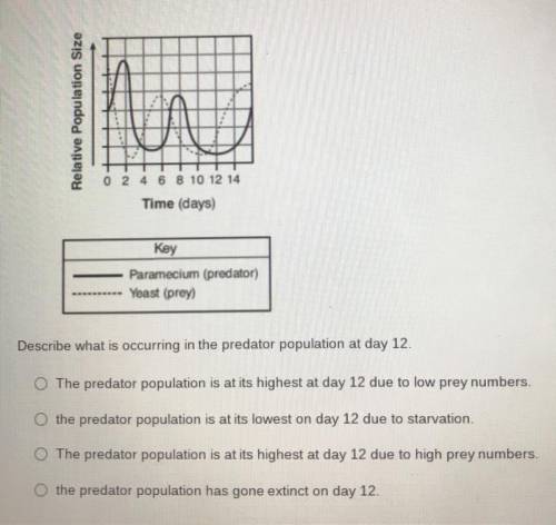 CAN SOMEONE PLEASE HELP ME WITH THE QUESTION PICTURE ABOVE