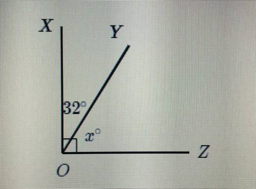 What is the measure of x°