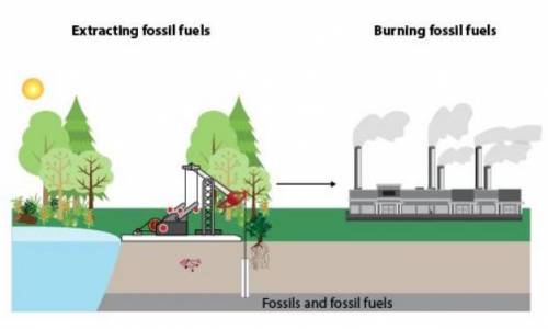 Since the 1800s, fossil fuels have been used to meet the energy needs of many human activities. The