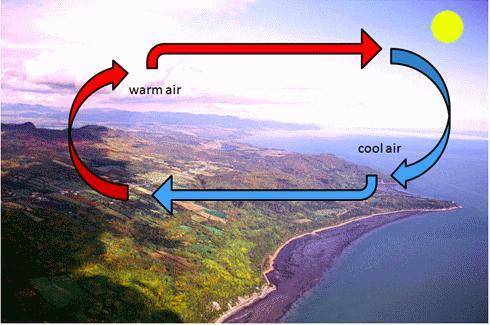 The above diagram shows what is known as a _______.

A. 
sea breeze
B. 
land breeze
C. 
tropical s
