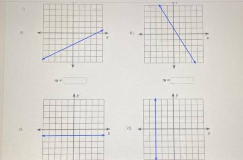 Find the slope of each line from the graph.