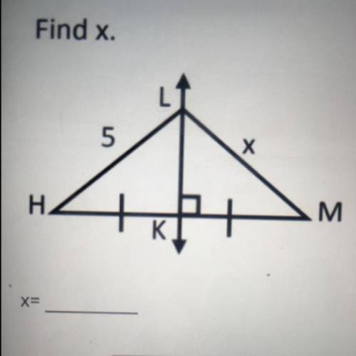 Geometry, perpendicular bisector. Find x (pls don’t just take points)