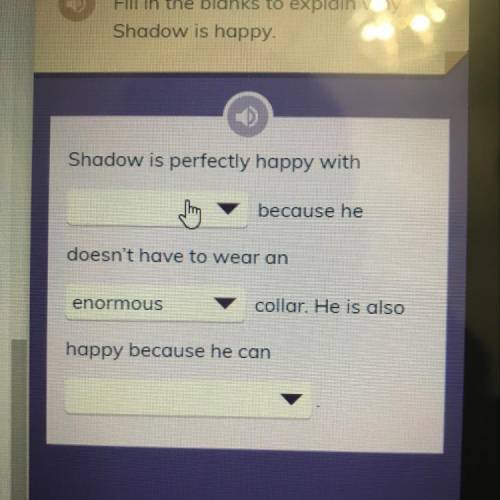 Fill in the blanks to explain why

Shadow is happy. 
Being lonely ,his belongings or how are thing