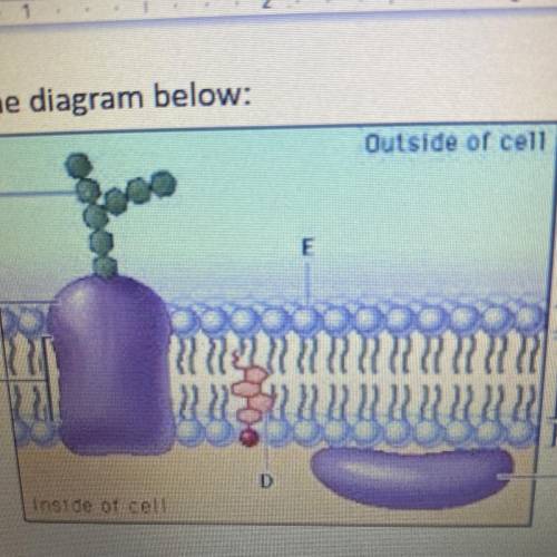 12) On the diagram below:
Inside of cell
Label the structures:
A:
B:
H: