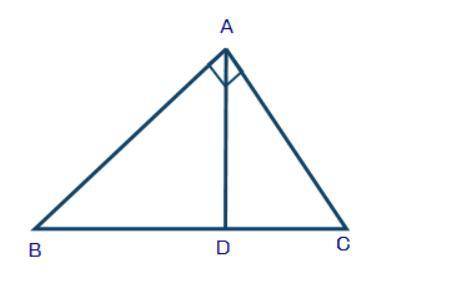 Hillary is using the figure shown below to prove Pythagorean Theorem using triangle similarity:

I
