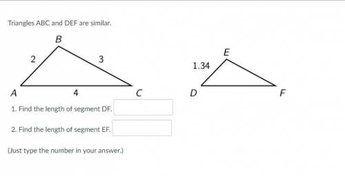 First-person to get this right with an Explanation to get Brainliest

Triangles ABC and DEF are si
