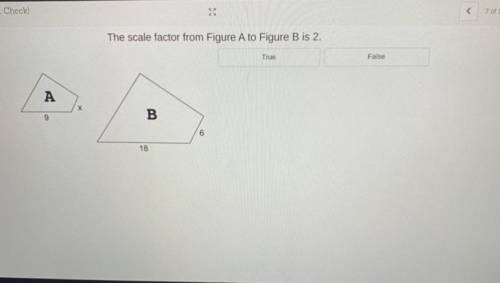 The scale factor from Figure A to Figure B is 2.

True
False
A
х
9
B
6
18