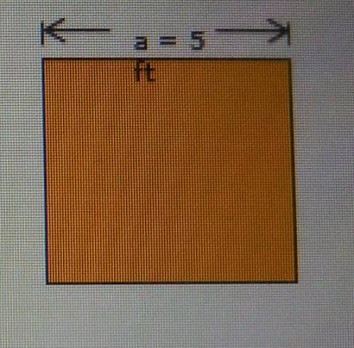 Pls Help.!!Find the areas of the following: A square with a width and height equal to 5 feet.
