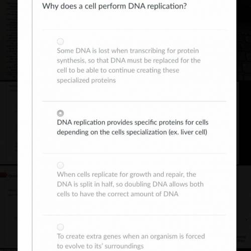 Why does a cell perform DNA replication?