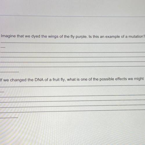I only need help on the first one. Please help me