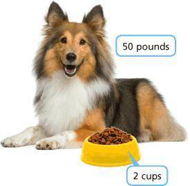 I NEED HELP!! The amount of food a dog should eat daily is based on its weight. The picture shows t