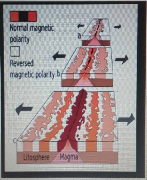 Identify the type of plate boundary shown in this picture. Explain how this type of boundary provid