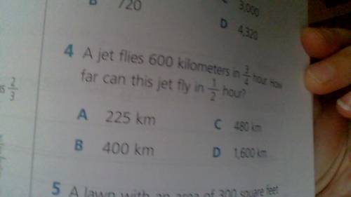 Help with these 3 questions