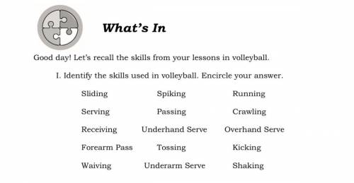 Which of the following is used in volleyball