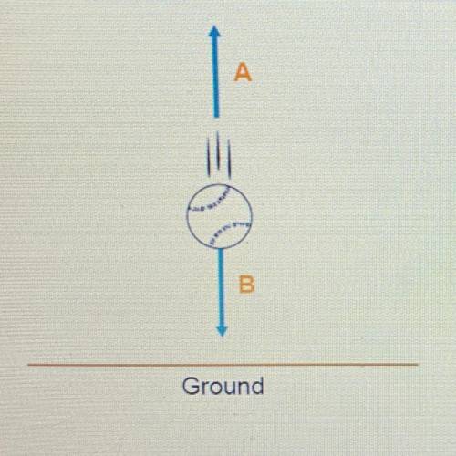 Entlying

A and B are forces acting on a falling object. Which
force, A or B, represents gravity i