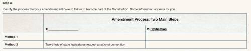 Identify the process that your amendment will have to follow to become part of the Constitution. So
