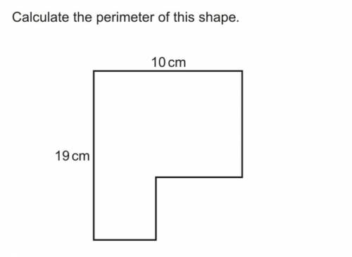 Calculate the perimeter