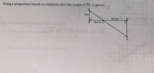 Using a Proportion based on similarity,find the length of DE. PLEASE HELP OMG