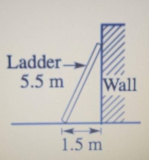 The bottom of a ladder leaning against a wall is 1.5 m from the bottom of the wall. The ladder is 5