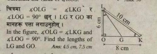 Please solve this question.If you solve this question, l will mark as brainest