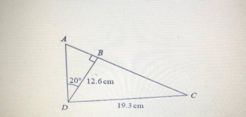 ABC is a straight line.

Work out the length of AC.
Give your answer connect to 1 decimal
place.
P