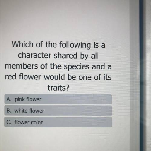 which of the following is a character shared by all members of the species and a red flower would b